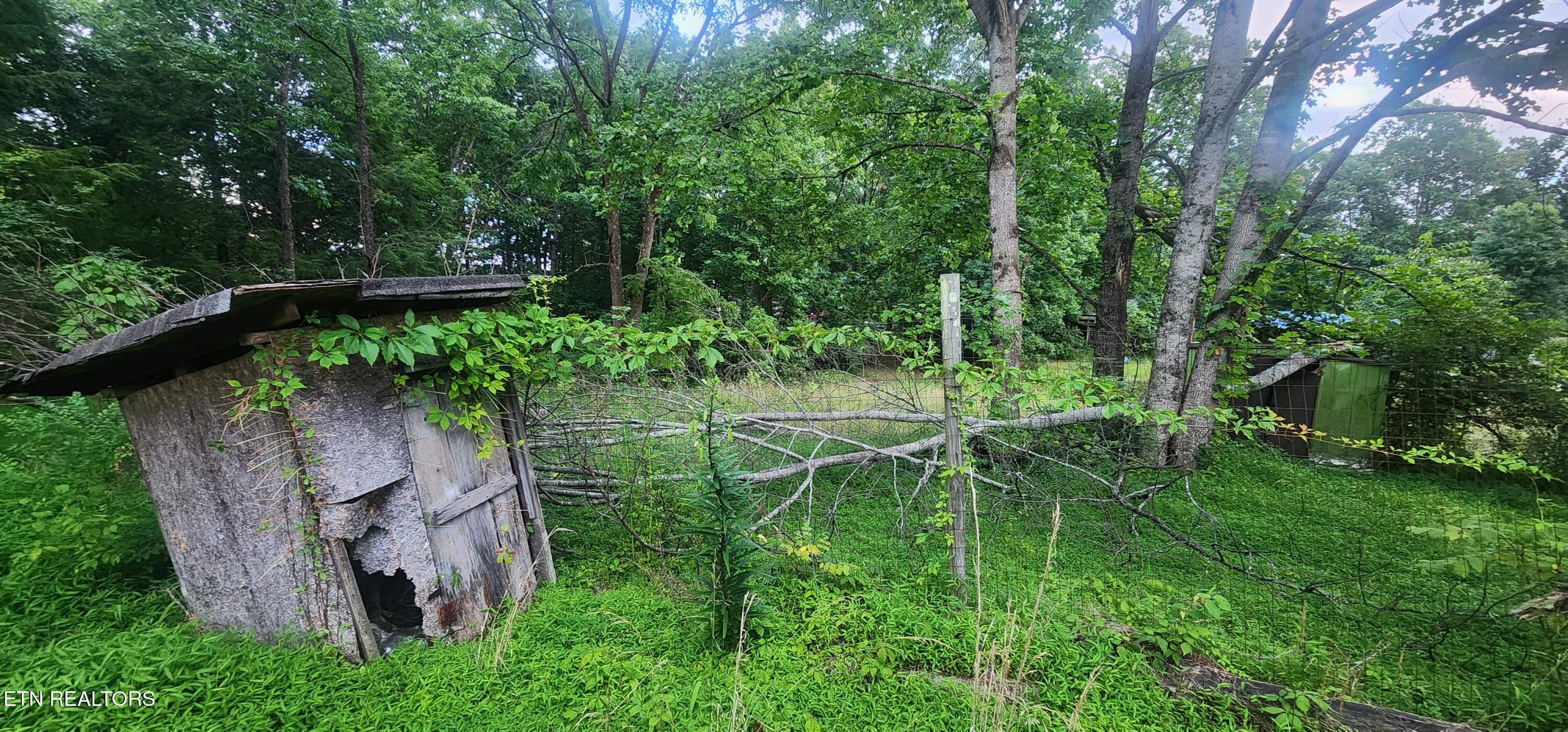 229 Obis Bowling Road Robbins, TN 37852 - Photo 15 of 26 20250619_202229
