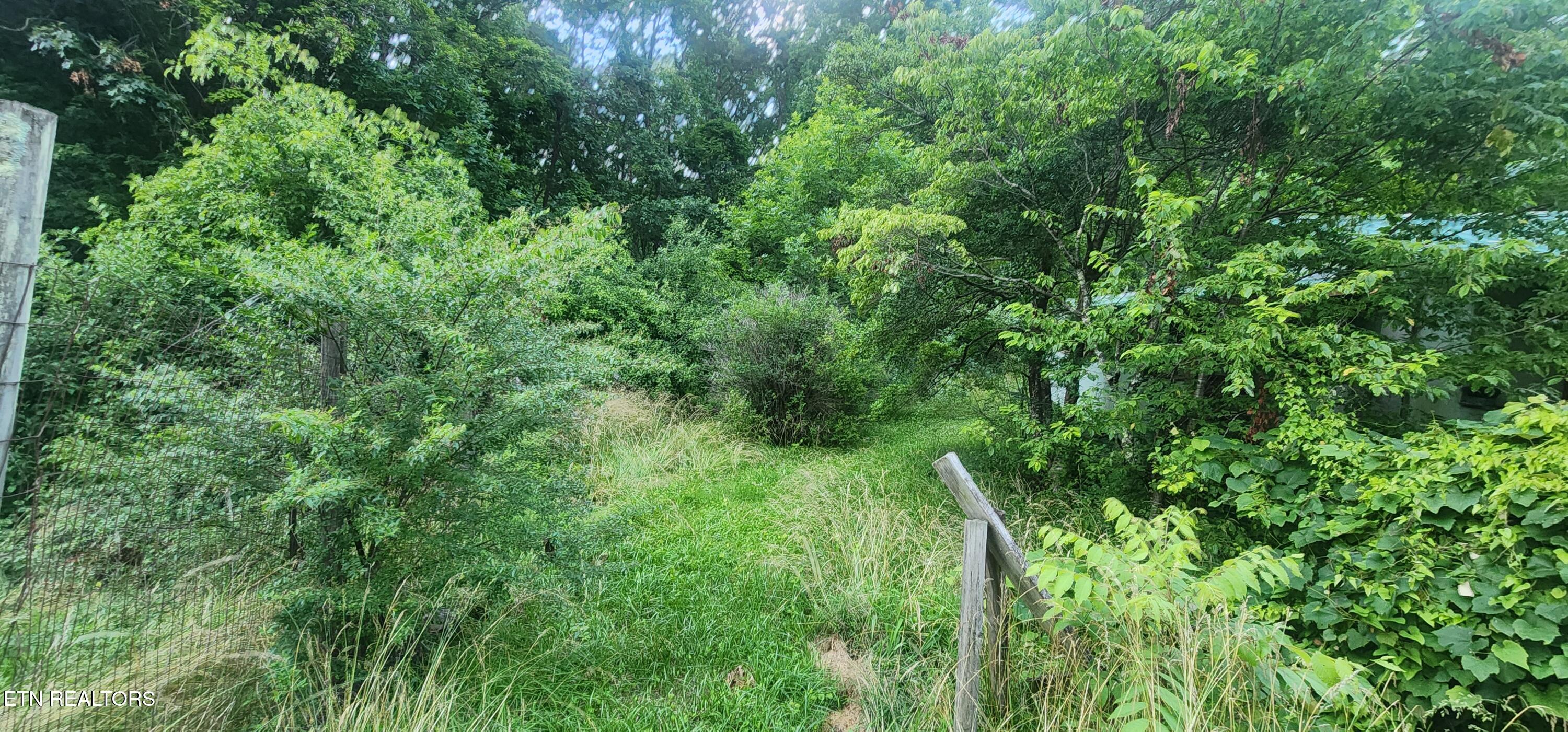 229 Obis Bowling Road Robbins, TN 37852 - Photo 16 of 26 20250619_202327