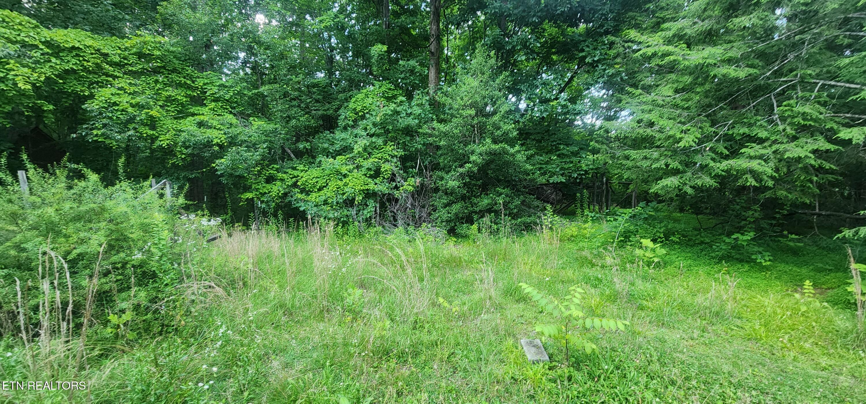 229 Obis Bowling Road Robbins, TN 37852 - Photo 17 of 26 20250619_202410