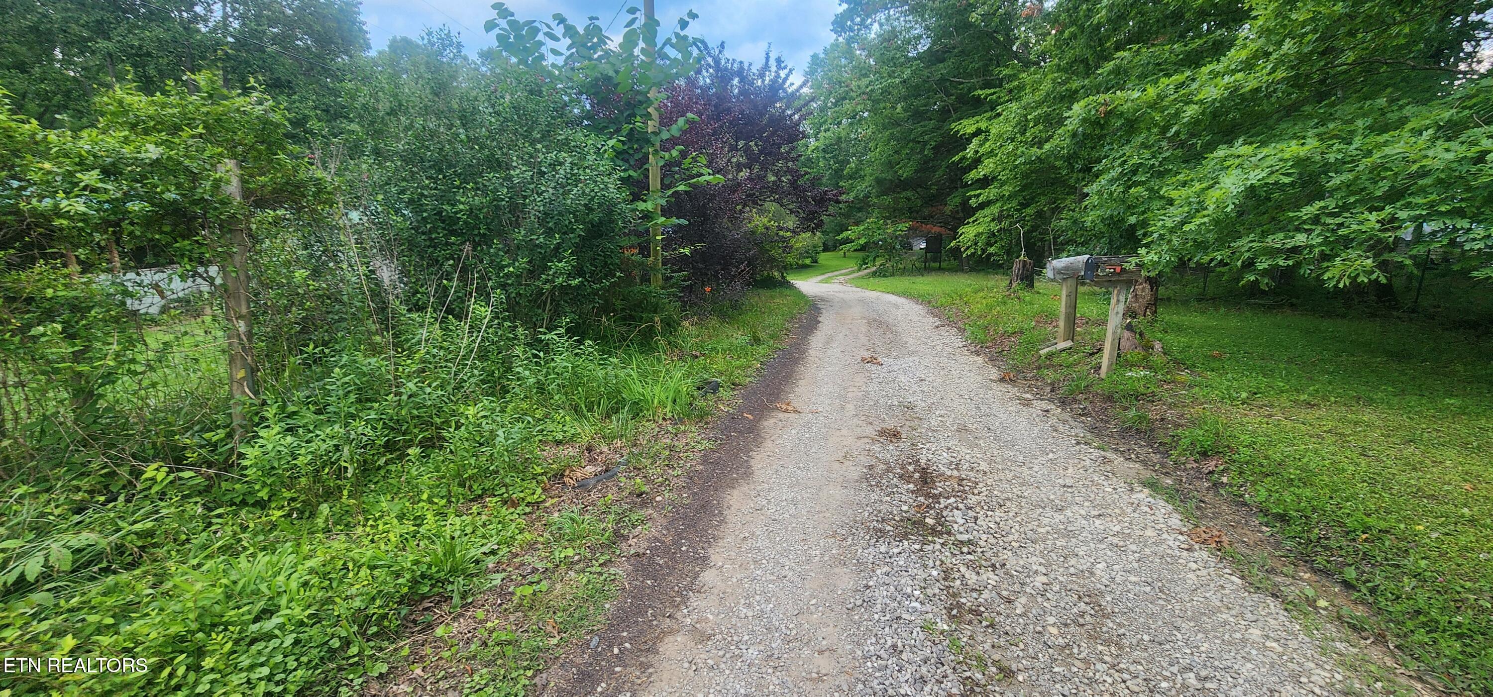 229 Obis Bowling Road Robbins, TN 37852 - Photo 20 of 26 20250619_202517