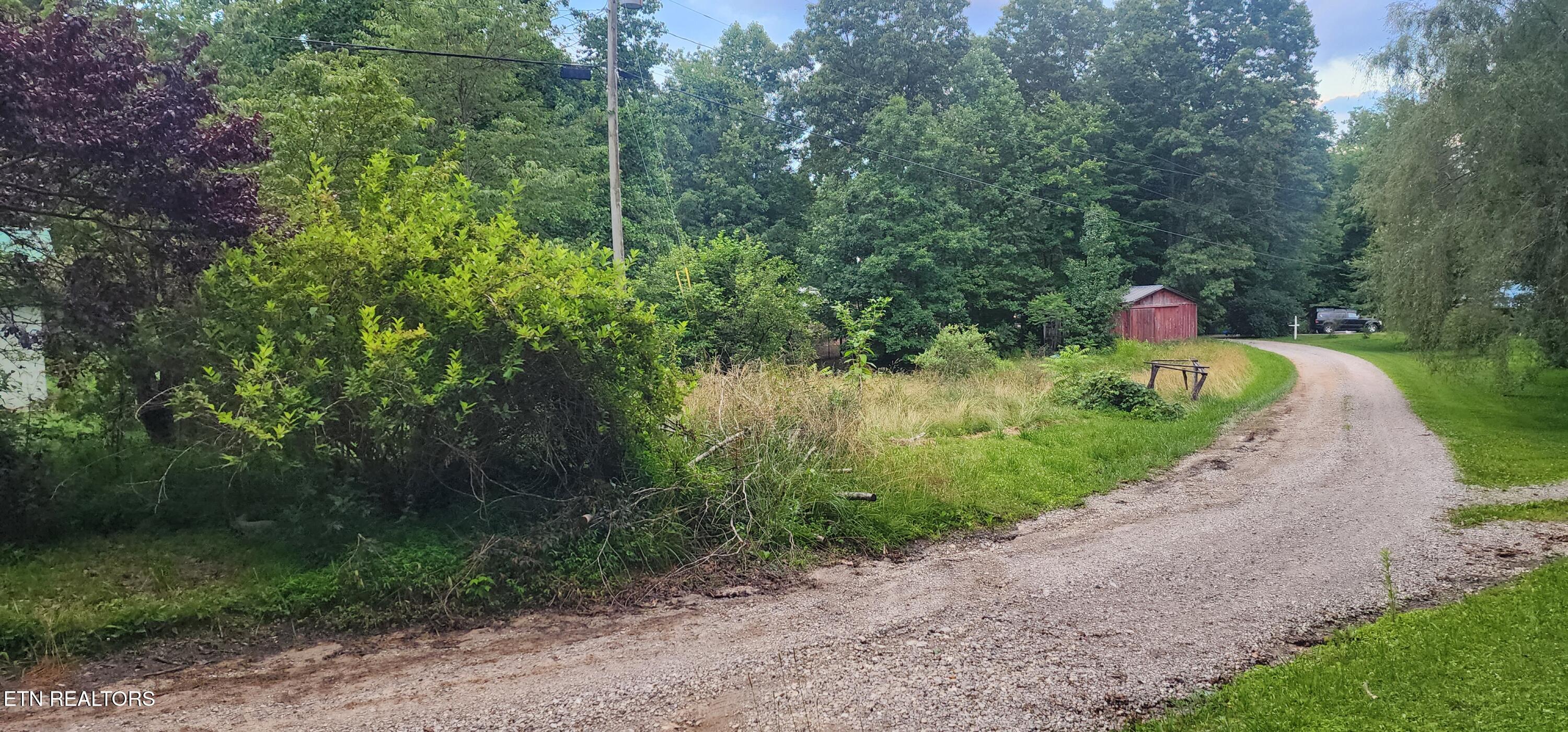 229 Obis Bowling Road Robbins, TN 37852 - Photo 21 of 26 20250619_202616
