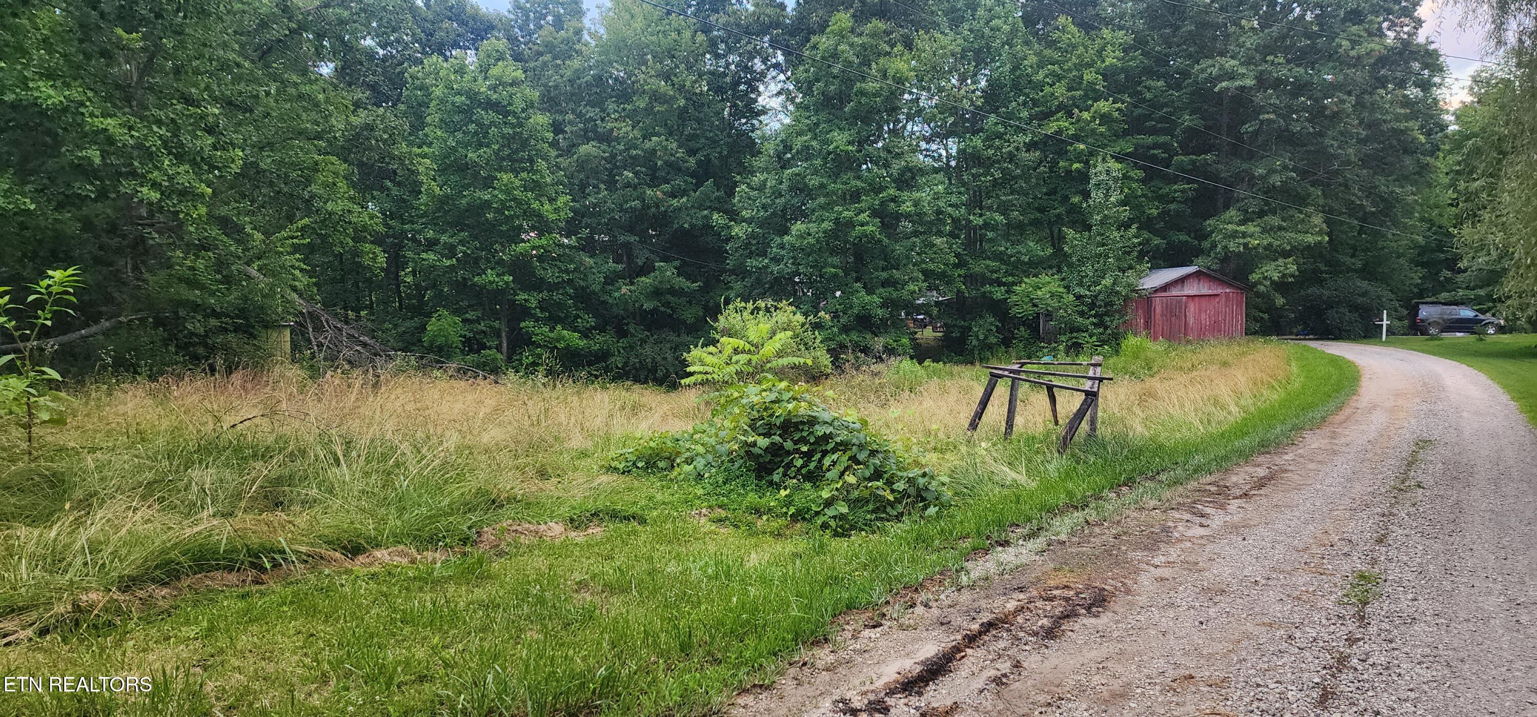 229 Obis Bowling Road Robbins, TN 37852 - Photo 22 of 26 20250619_202655