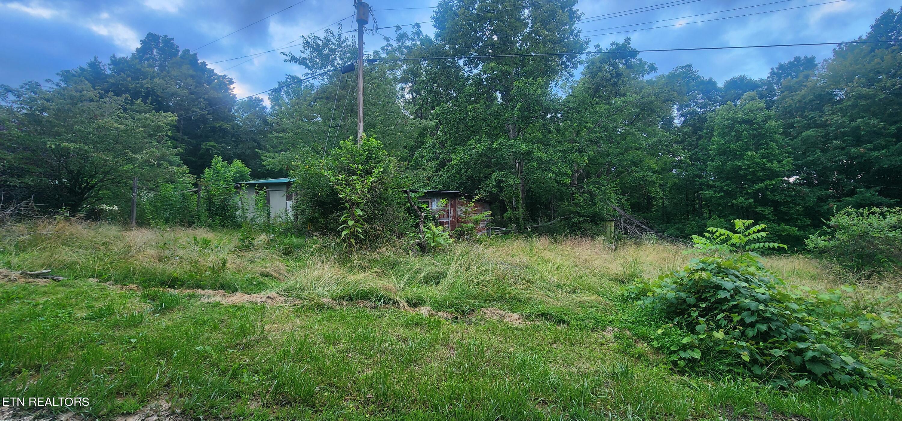 229 Obis Bowling Road Robbins, TN 37852 - Photo 24 of 26 20250619_202718