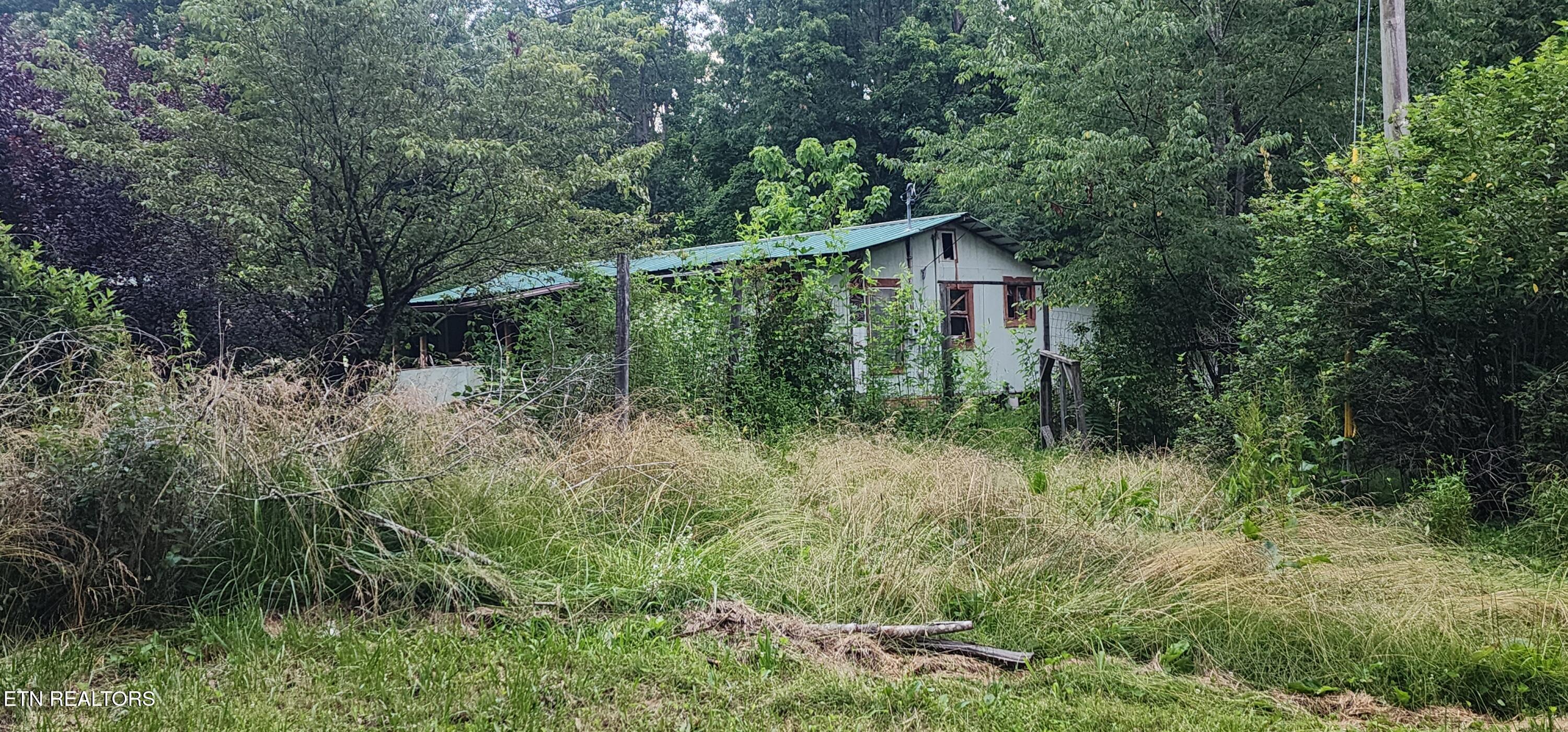 229 Obis Bowling Road Robbins, TN 37852 - Photo 6 of 26 20250619_202742