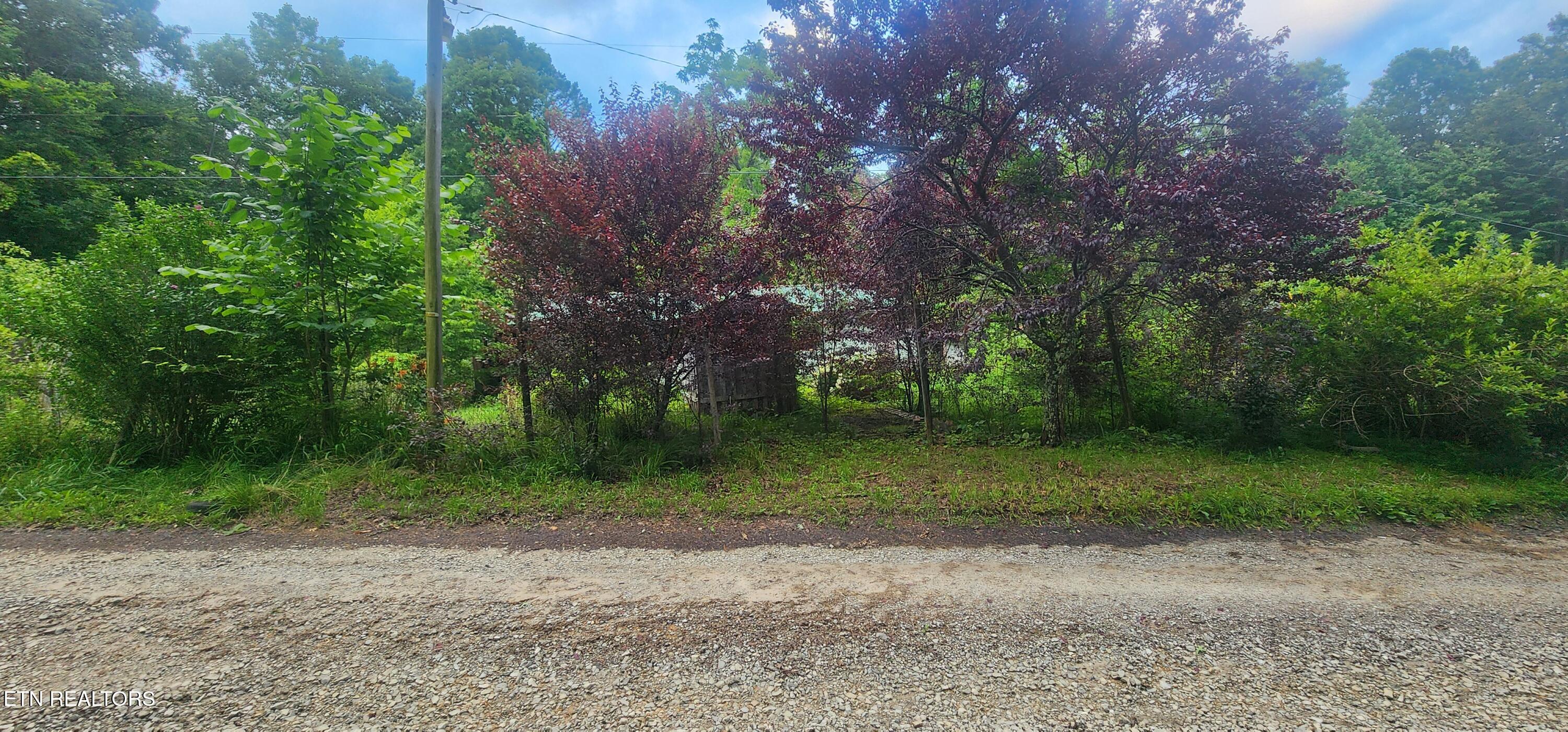 229 Obis Bowling Road Robbins, TN 37852 - Photo 8 of 26 20250619_202554 (1)