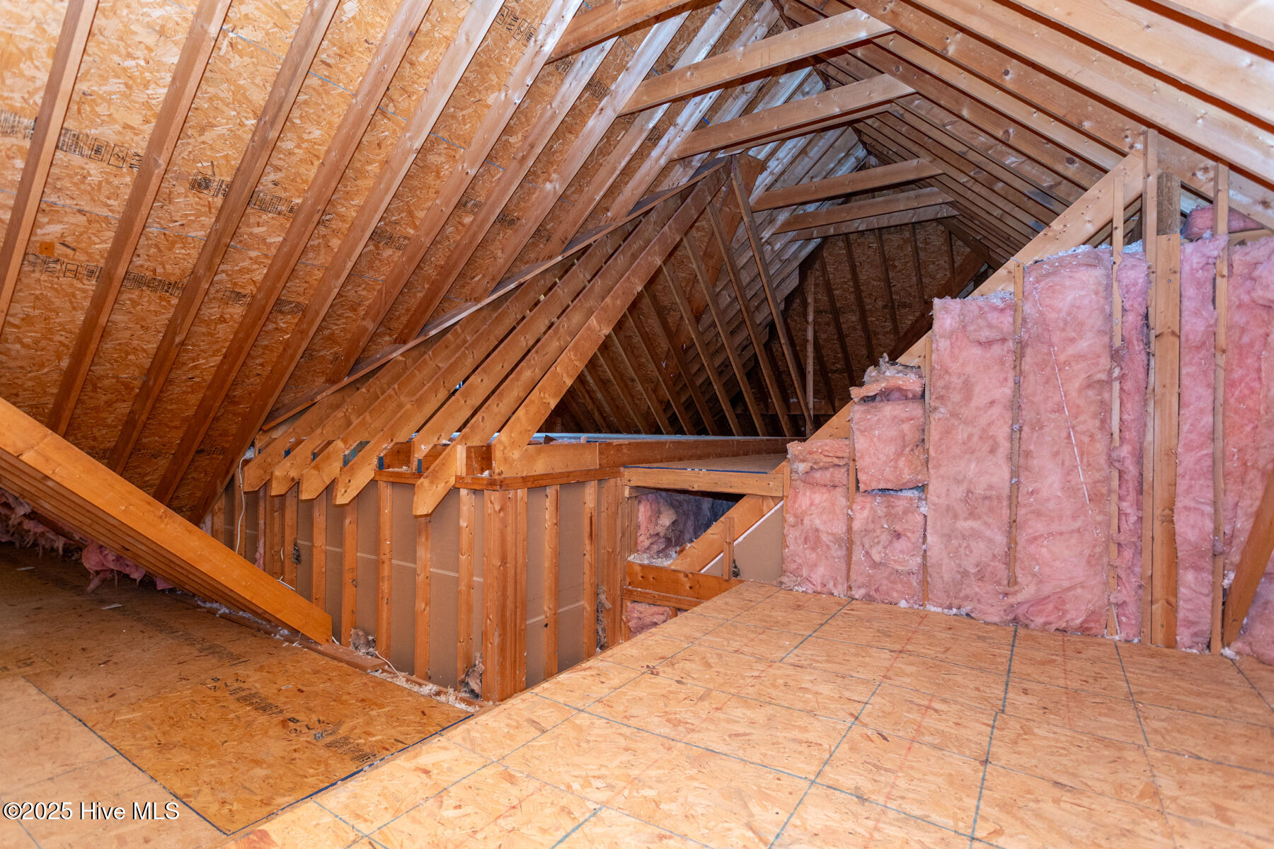24 McNish Road Southern Pines, NC 28387 - Photo 33 of 41 attic3