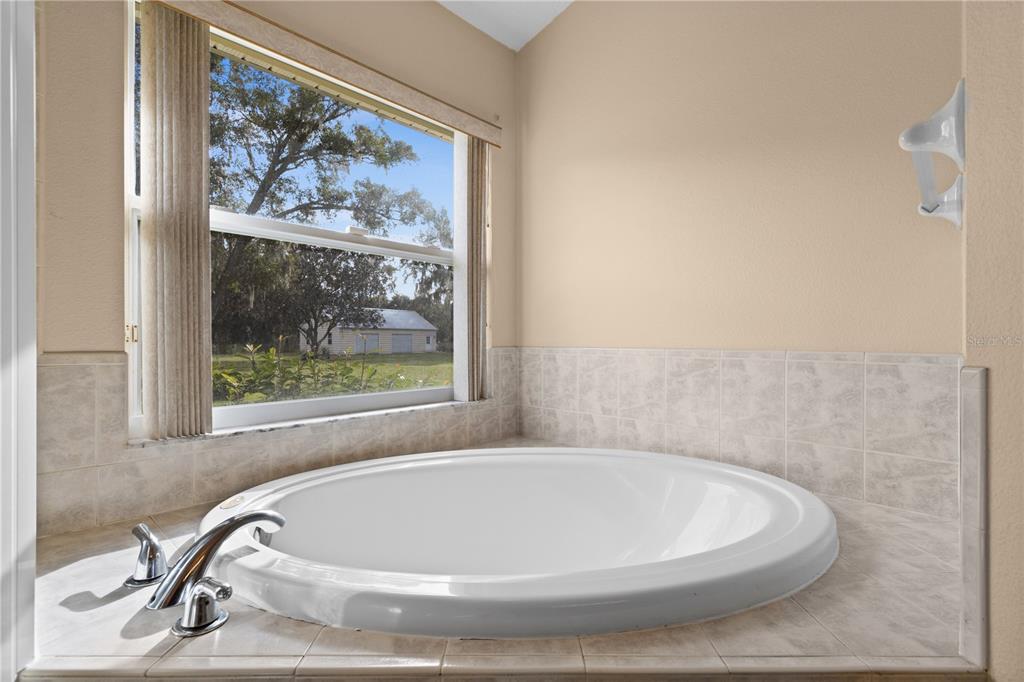 11114 Holstein Road Lithia, FL 33547 - Photo 36 of 67 Gallery Image 36