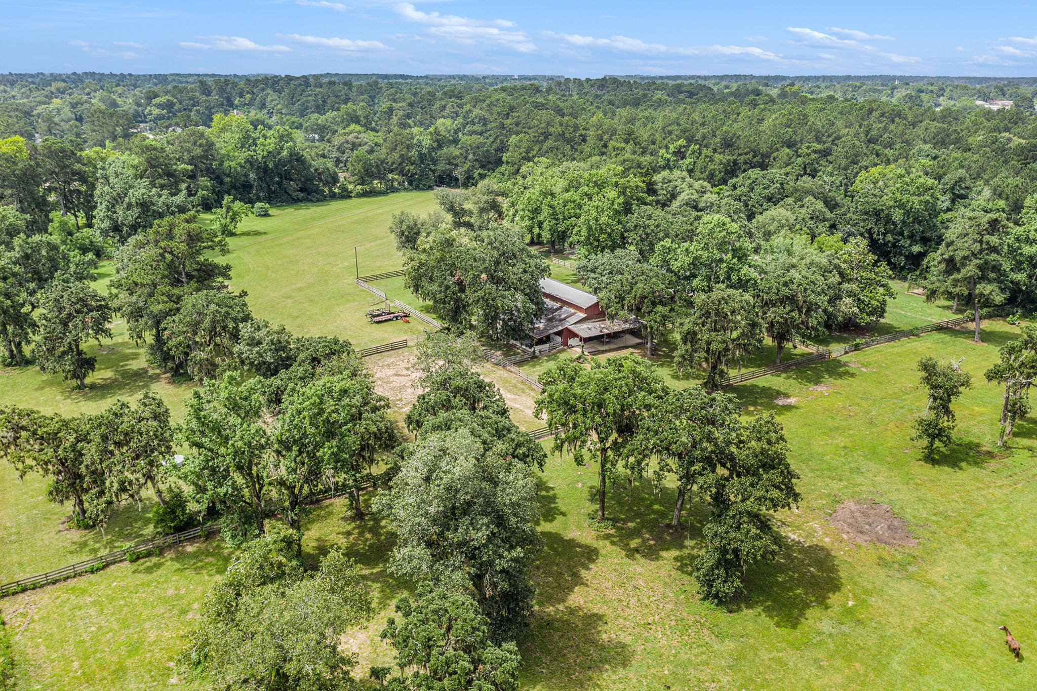 7363 County Line Road Willis, TX 77378 - Photo 33 of 34 Experience serene country living with this expansive, lush pasture, perfect for equestrian pursuits or peaceful retreats.