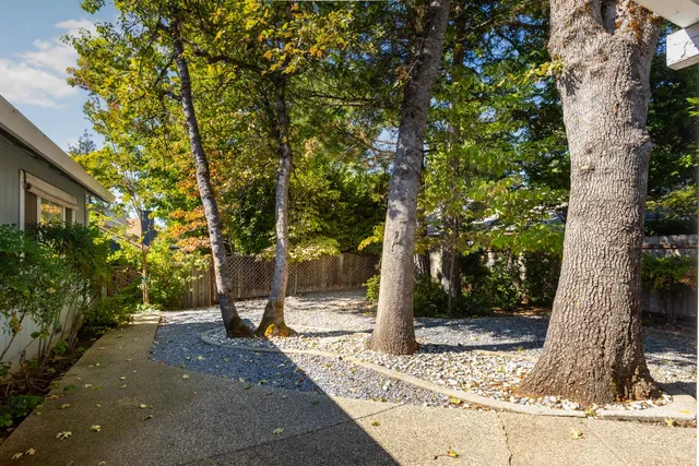 a view of a tree in front of a house