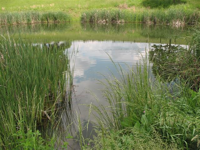 7855 Ironworks Road Winchester, KY 40391 - Photo 2 of 27 Photo 2