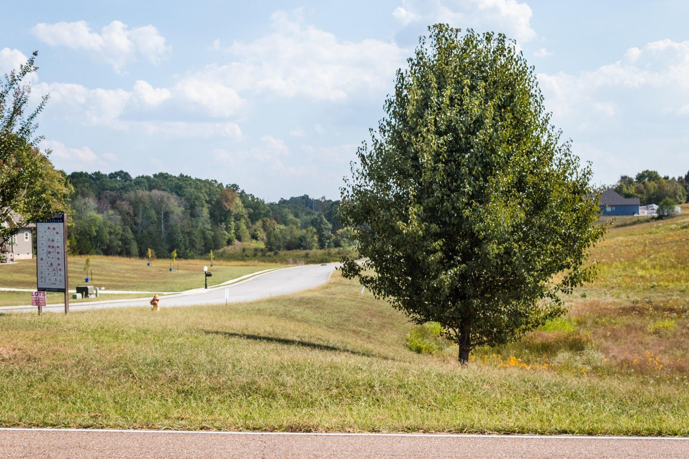 14292 May Road Soddy-Daisy, TN 37379 - Photo 5 of 7 dreamfield entrance