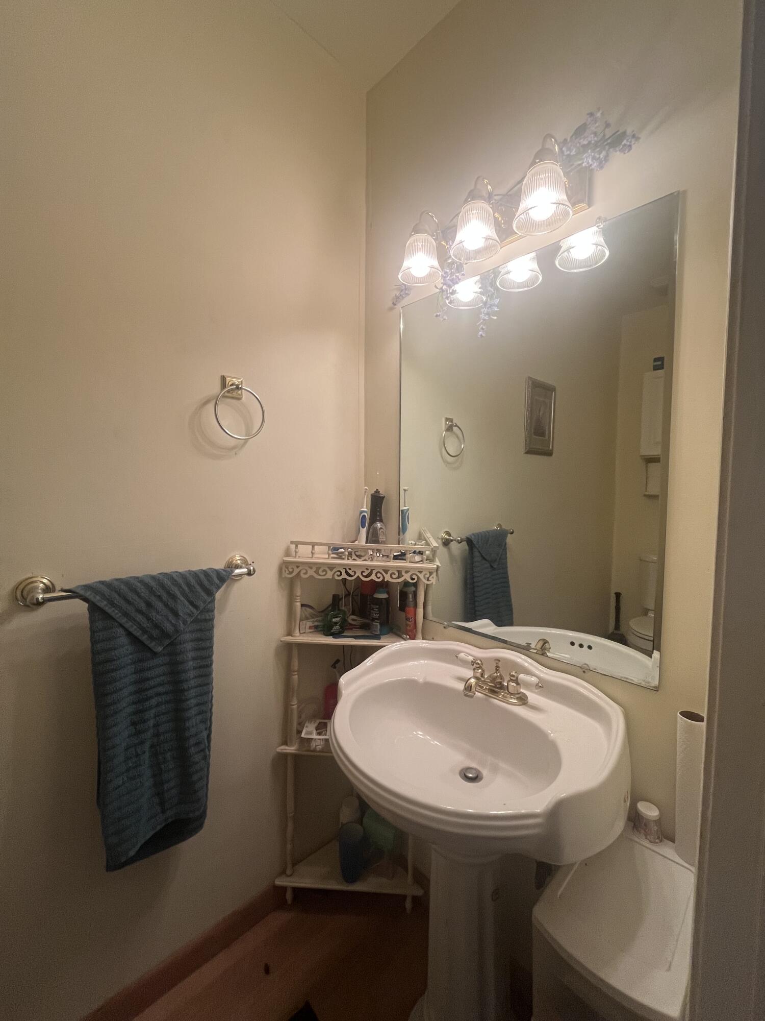 58 Hankins Road Freeport, FL 32439 - Photo 19 of 29 a bathroom with a sink and a mirror
