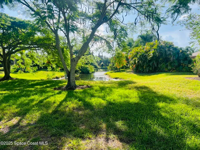 a view of a park with plants and trees