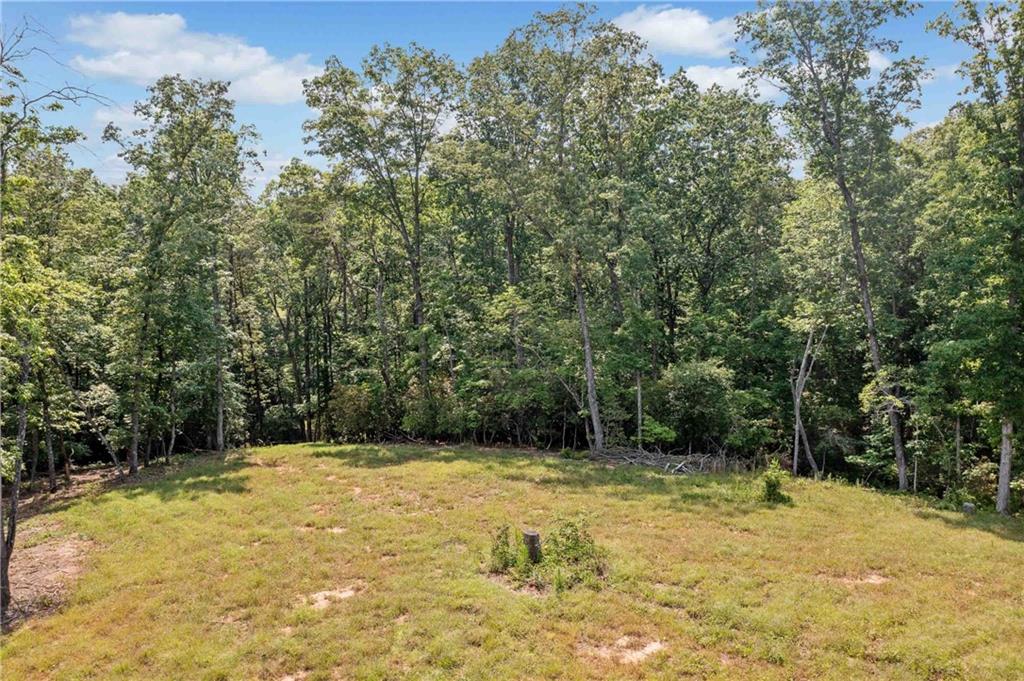 0 Hester Road Dahlonega, GA 30533 - Photo 3 of 13 a view of a yard with trees
