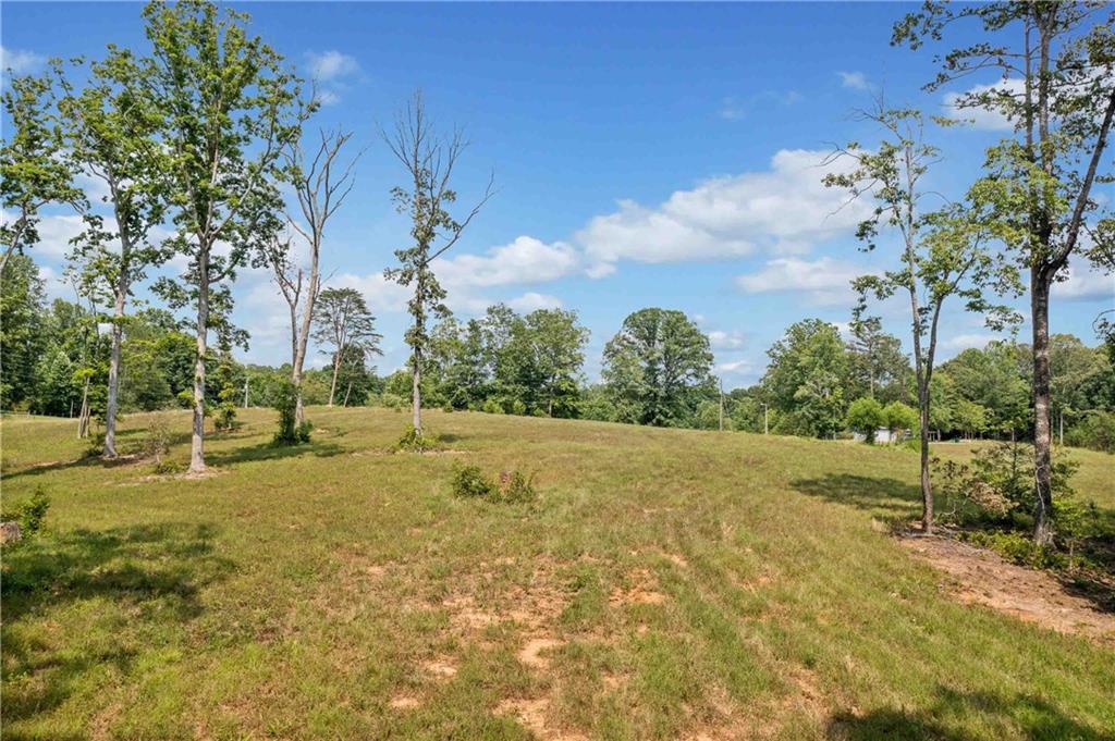 0 Hester Road Dahlonega, GA 30533 - Photo 4 of 13 a view of a yard with swimming pool