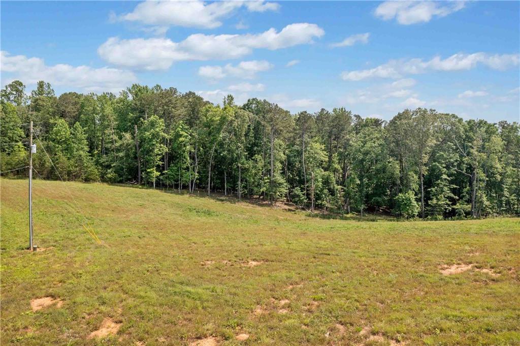 0 Hester Road Dahlonega, GA 30533 - Photo 10 of 13 a view of a yard with an trees