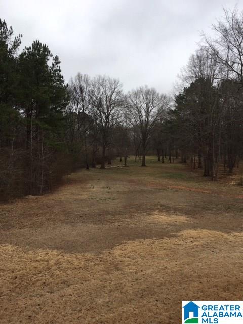 140 Farmstead Road Wilsonville, AL 35186 - Photo 14 of 16