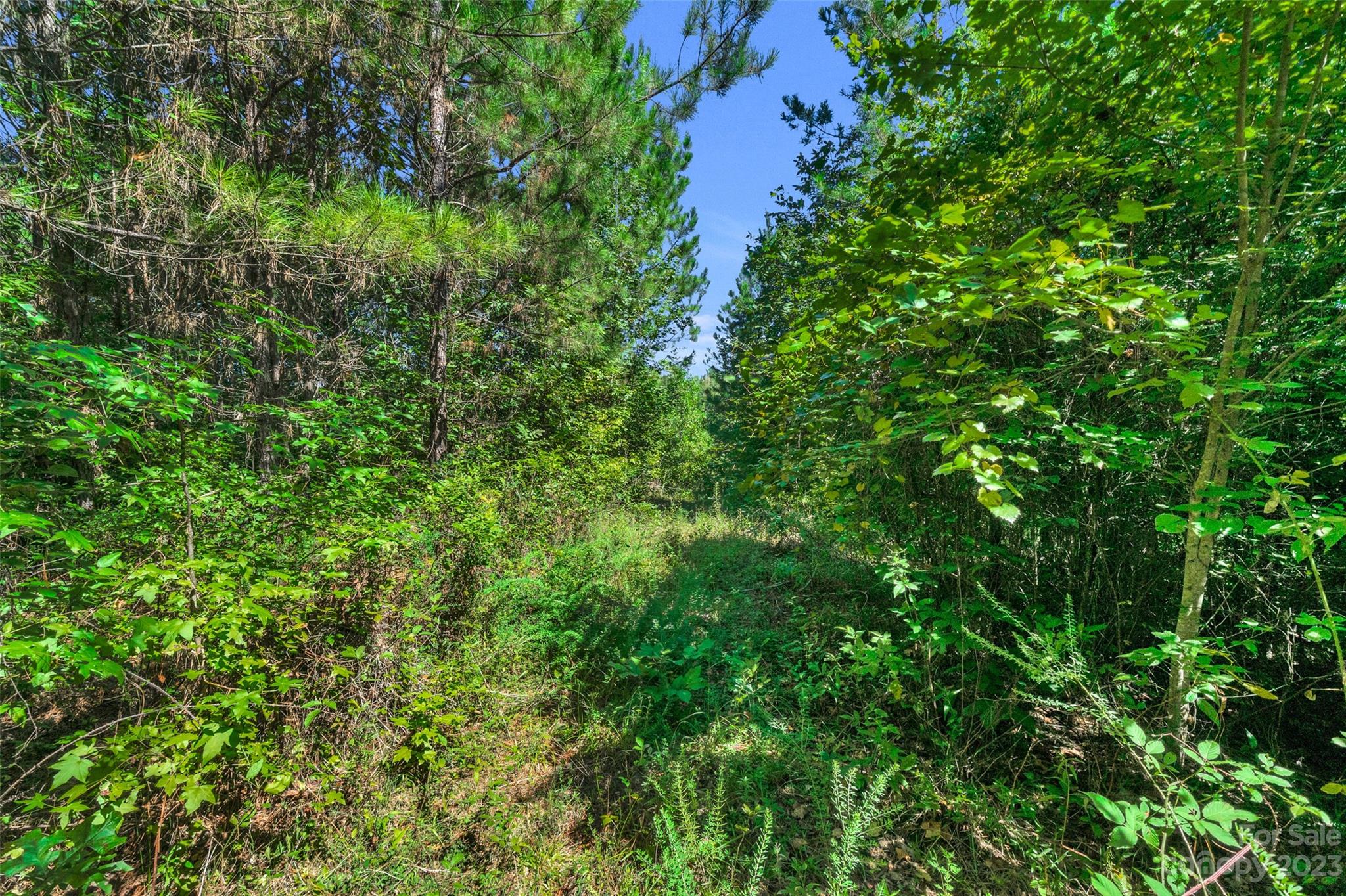 0 Hopewell Church Road, Unit 2 Blackstock, SC 29014 - Photo 34 of 39 Gallery Image 34