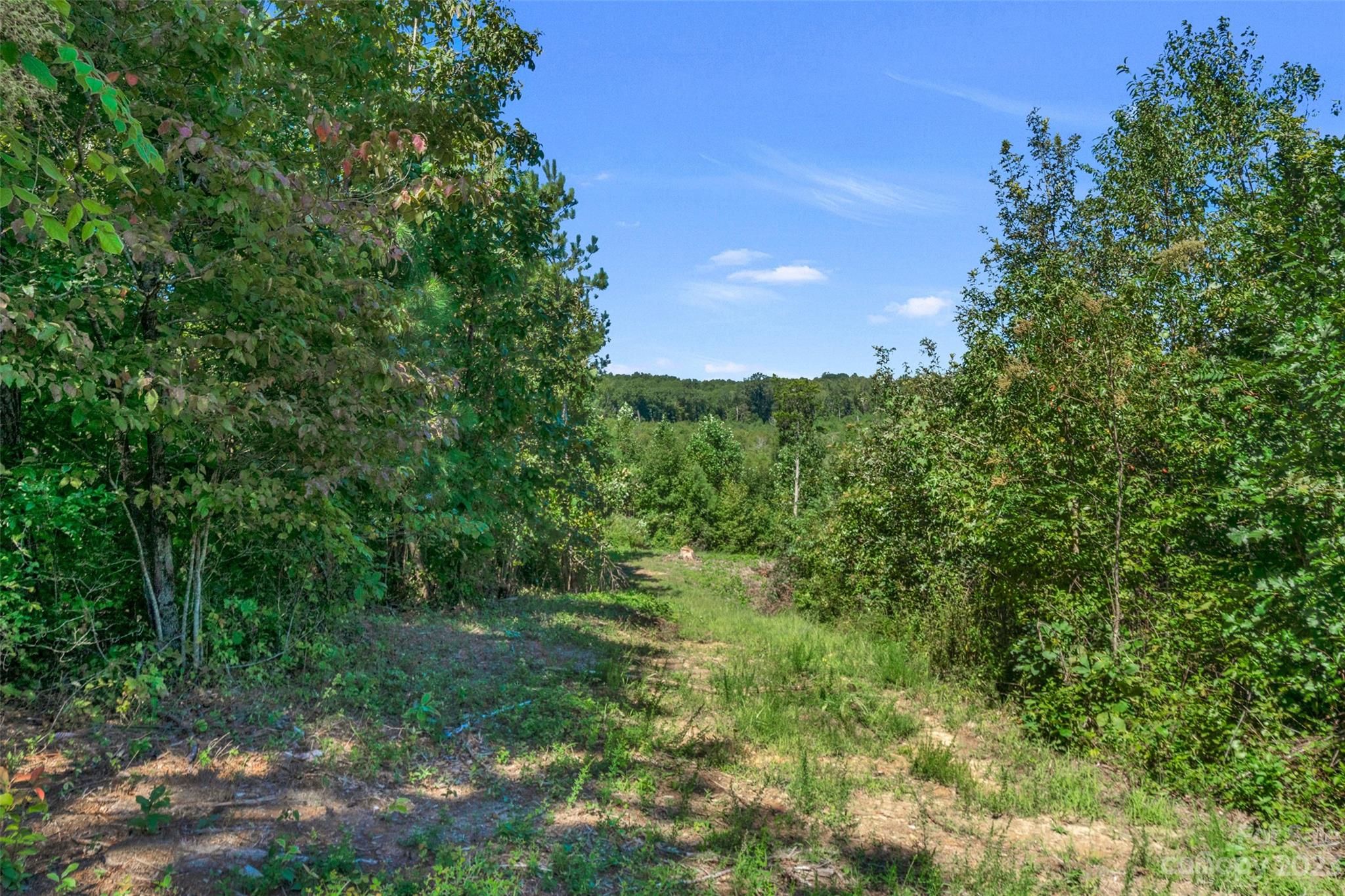 0 Hopewell Church Road, Unit 2 Blackstock, SC 29014 - Photo 36 of 39 Gallery Image 36