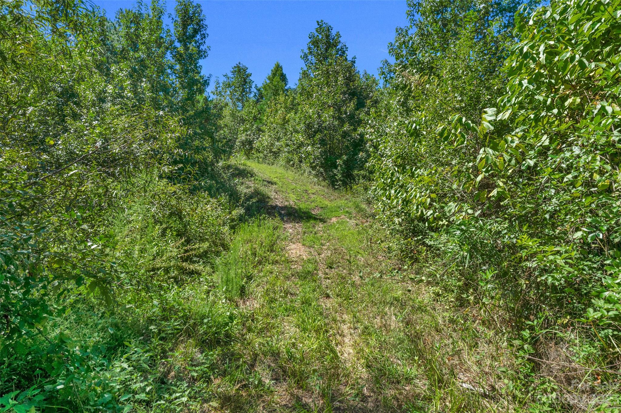 0 Hopewell Church Road, Unit 2 Blackstock, SC 29014 - Photo 38 of 39 Gallery Image 38