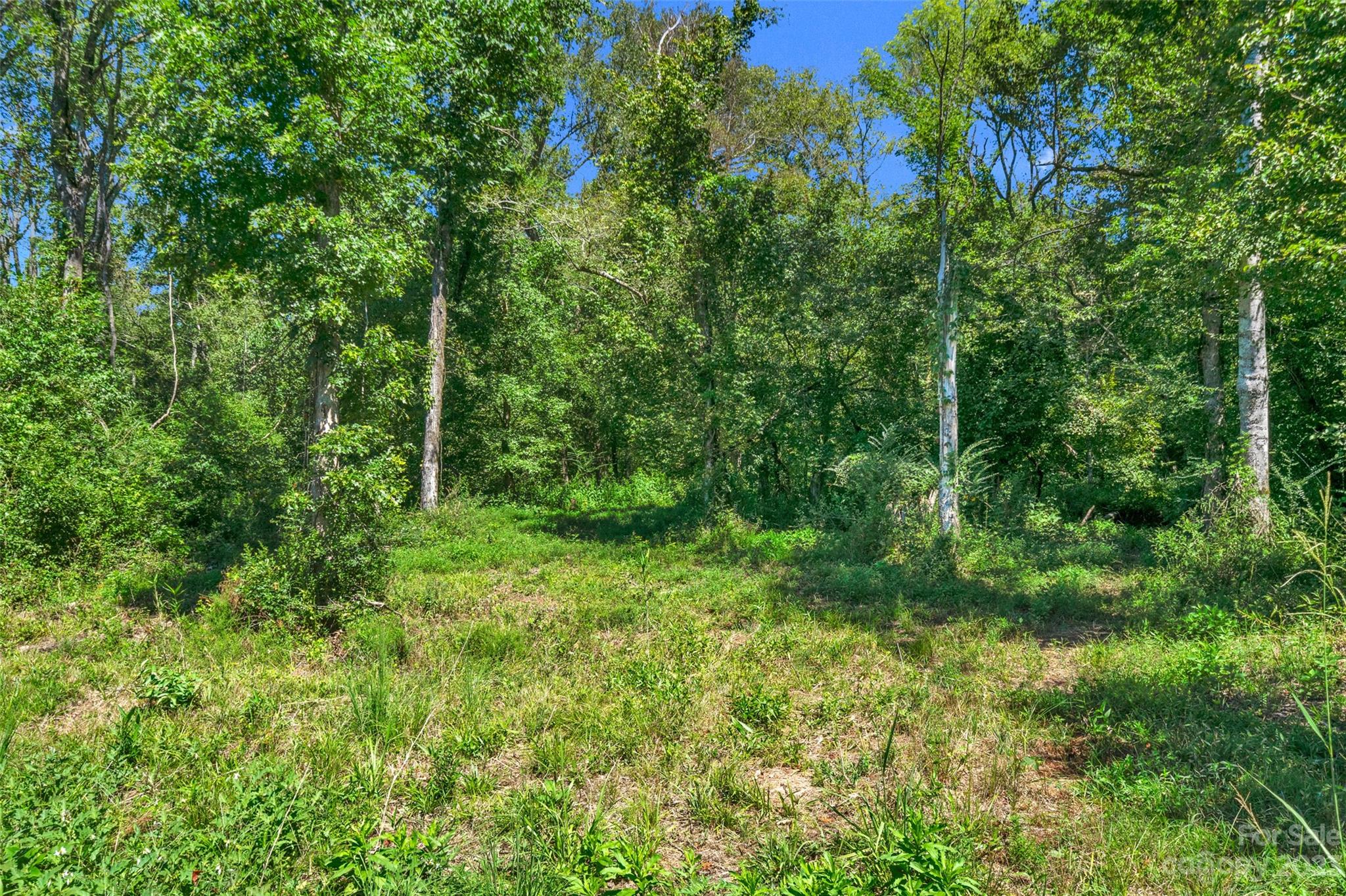 0 Hopewell Church Road, Unit 2 Blackstock, SC 29014 - Photo 39 of 39 Gallery Image 39