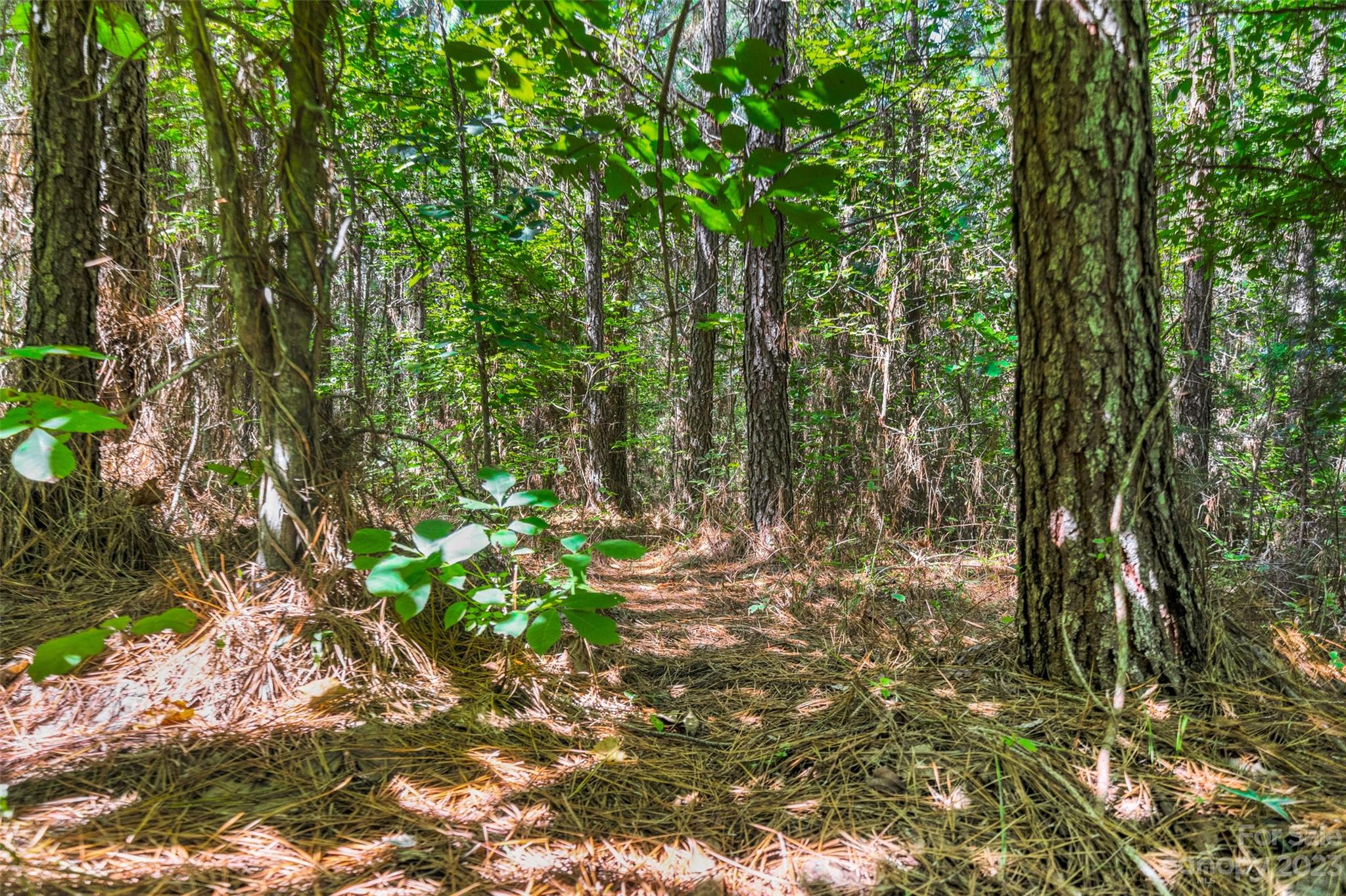 0 Hopewell Church Road, Unit 2 Blackstock, SC 29014 - Photo 10 of 39 Gallery Image 10