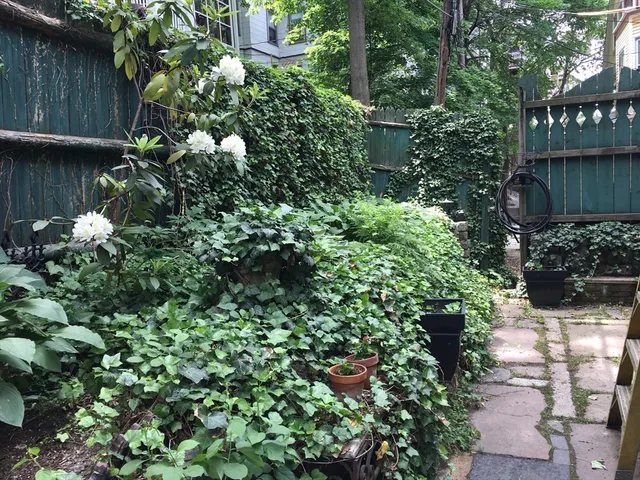 a view of a garden with plants