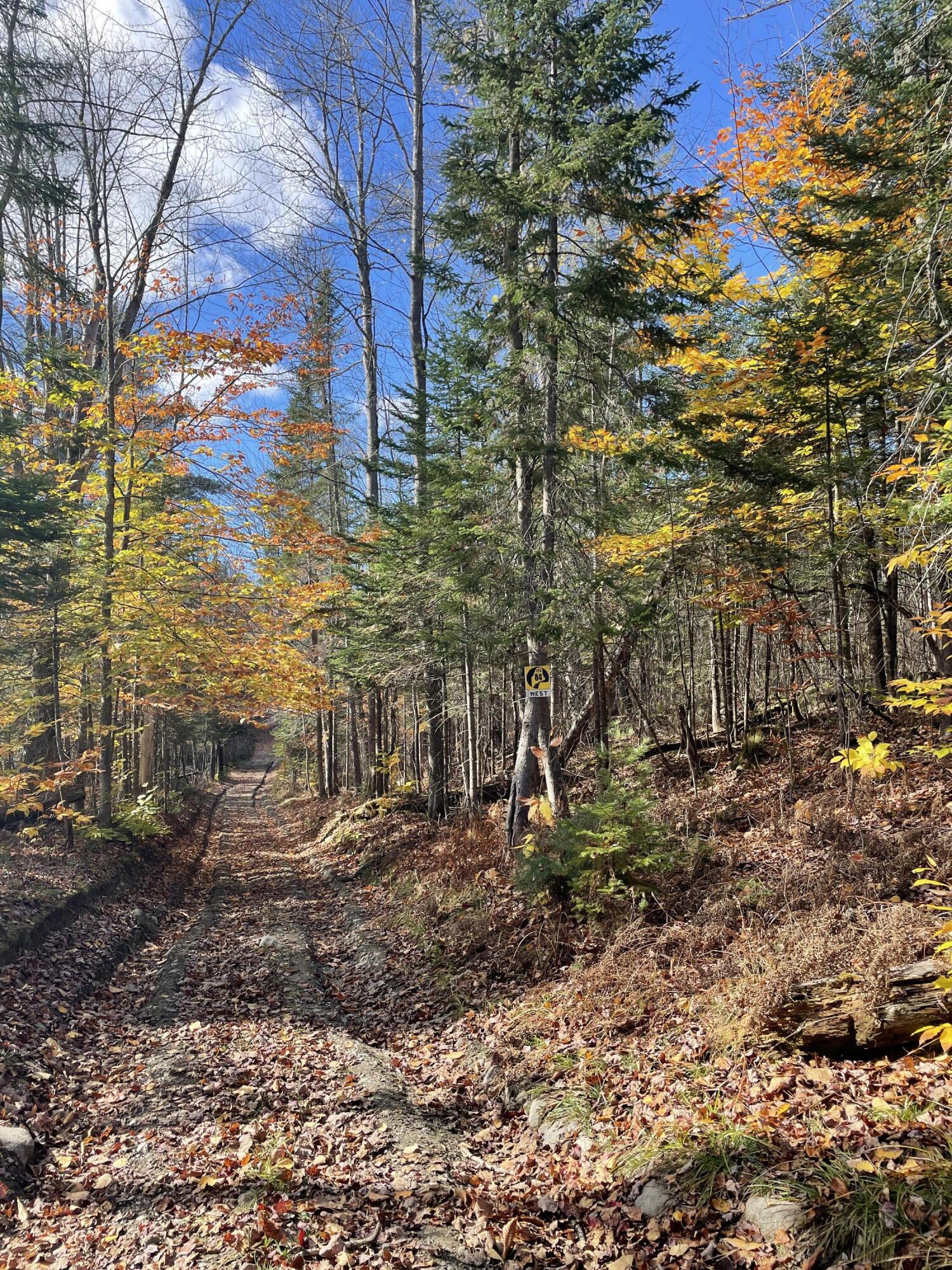 Tbd Colegrove Road New Portland, ME 04961 - Photo 1 of 9 623548CD-AE07-46FC-B247-1B0CE03E624B