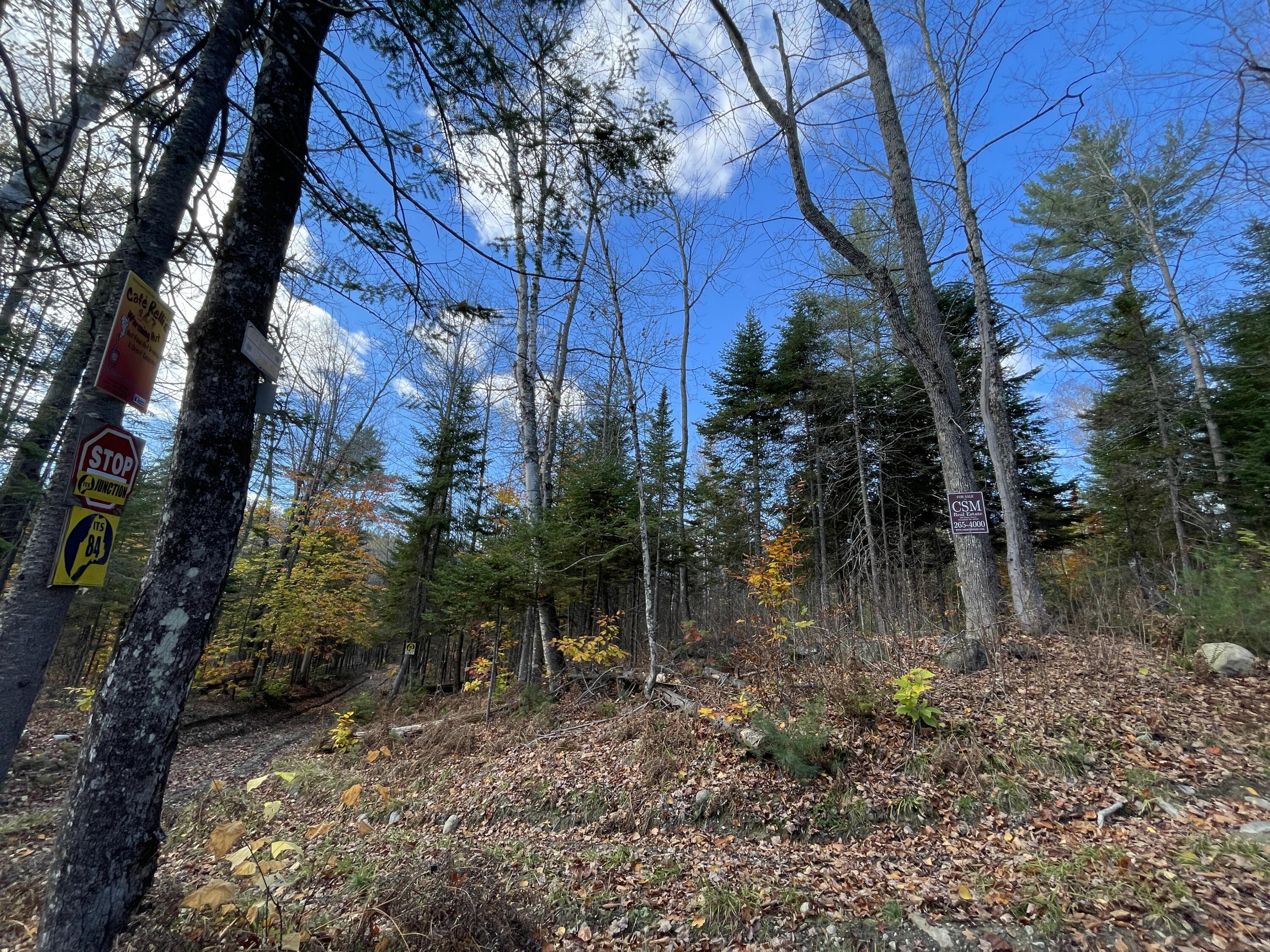 Tbd Colegrove Road New Portland, ME 04961 - Photo 5 of 9 5BA42E48-6ADD-49B1-A9DB-1B258DBD5C3B