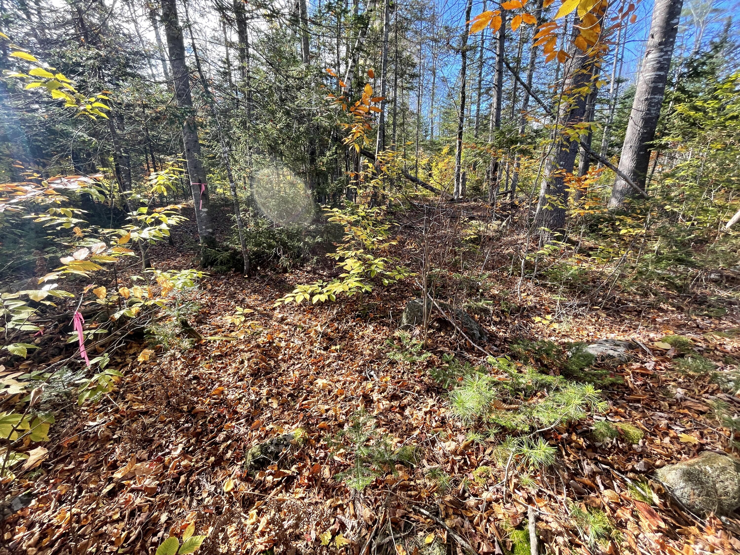 Tbd Colegrove Road New Portland, ME 04961 - Photo 8 of 9 BABBDA45-C646-48D9-B7DC-A378177A858F