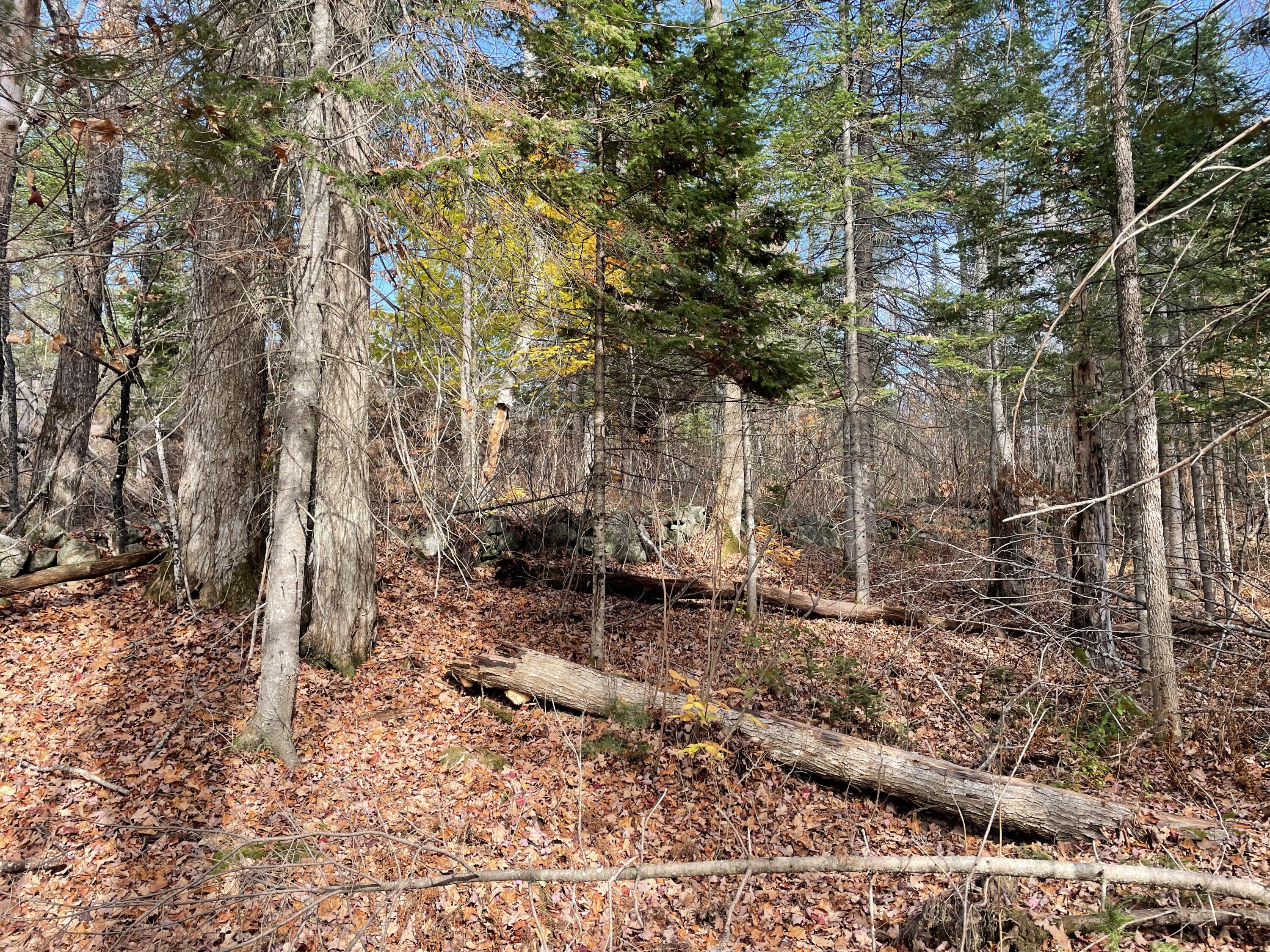 Tbd Colegrove Road New Portland, ME 04961 - Photo 9 of 9 804FA035-D324-415A-B829-509256D21DFB