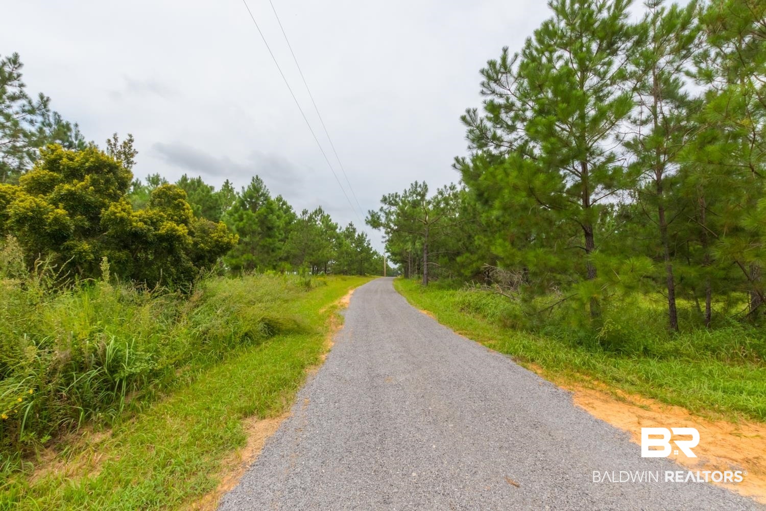 17153 County Road 87 Elberta, AL 36530 - Photo 31 of 35