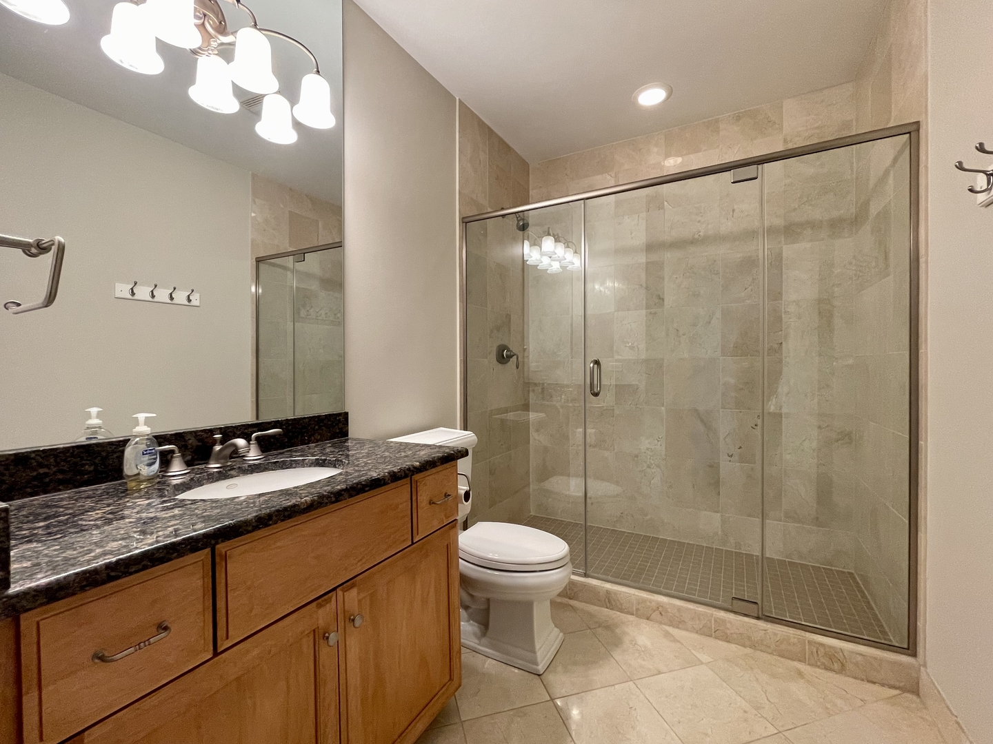 520 South Washington Street, Unit 604 Naperville, IL 60540 - Photo 17 of 32 a bathroom with a granite countertop sink a toilet a mirror and shower