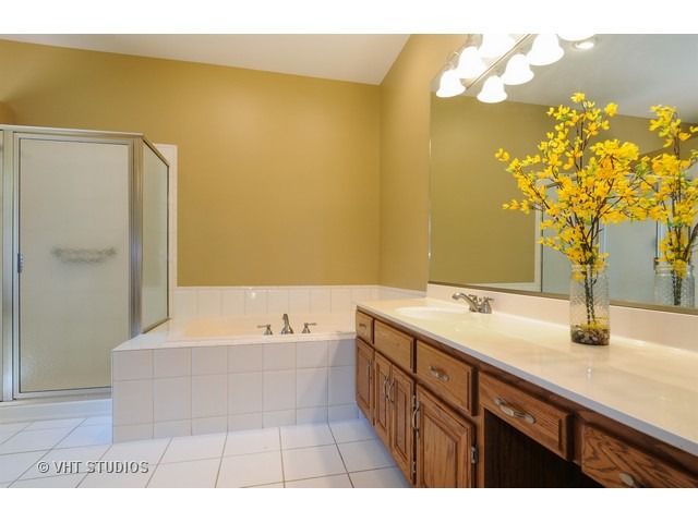 3737 Wolf Road Oswego, IL 60543 - Photo 18 of 25 a bathroom with a sink and a bathtub