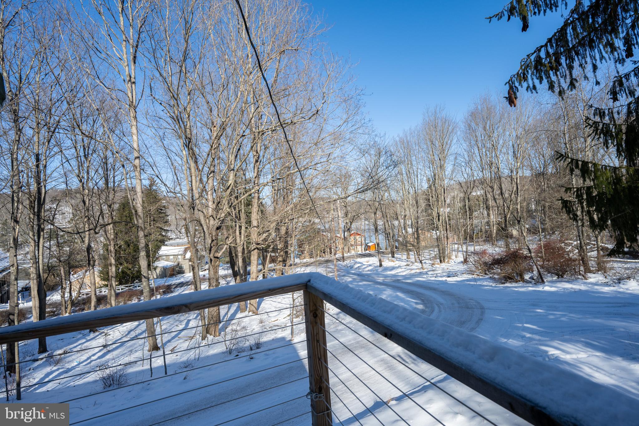 43 Sloan Tract Road Oakland, MD 21550 - Photo 11 of 47 Serene winter landscape with snowy trees.