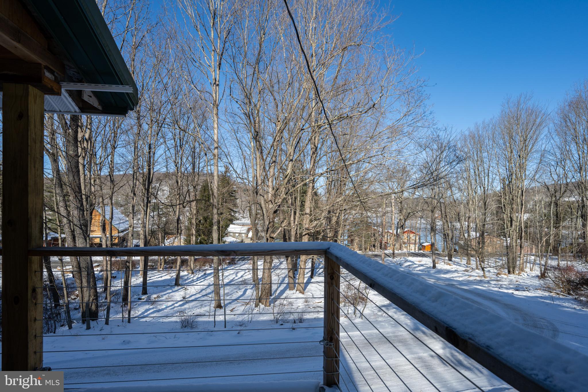 43 Sloan Tract Road Oakland, MD 21550 - Photo 10 of 47 Serene winter view from a cozy retreat.