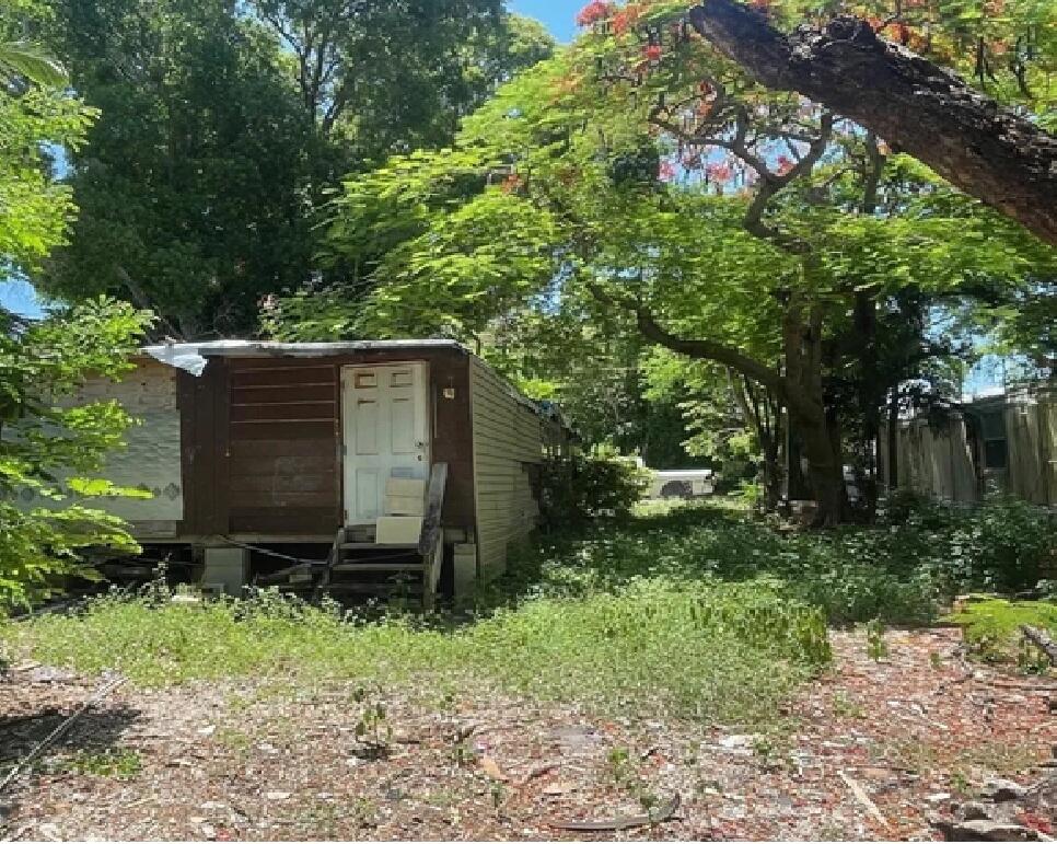 728 Largo Road Key Largo, FL 33037 - Photo 2 of 3 a view of backyard with potted plants and a large tree