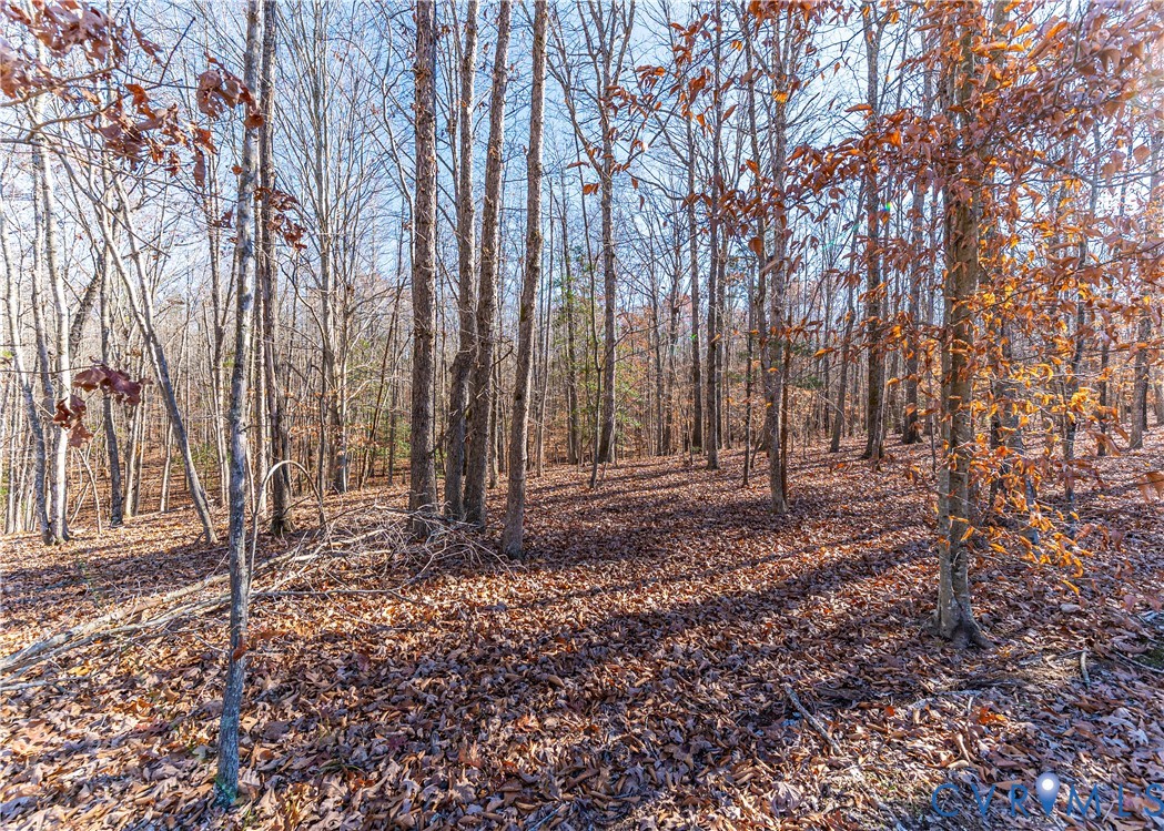 5 Polebridge Powhatan, VA 23139 - Photo 2 of 20 View of wooded area
