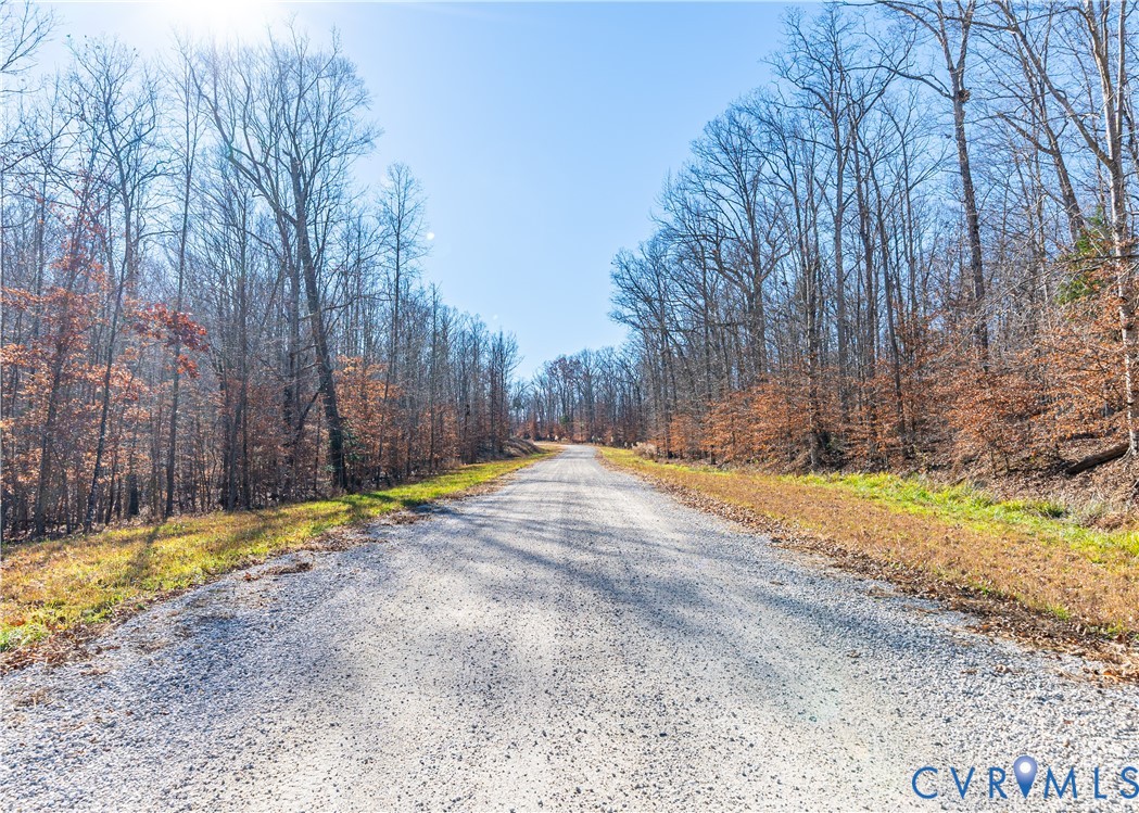 5 Polebridge Powhatan, VA 23139 - Photo 3 of 20 View of dirt / gravel road featuring a view of tre