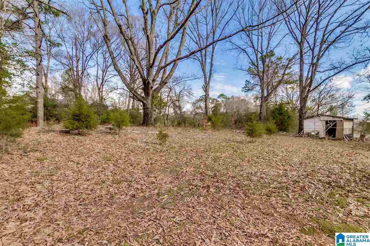 6287 Jaybird Road Cottondale, AL 35453 - Photo 6 of 32