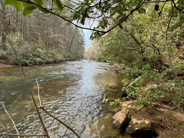 a view of a yard with trees