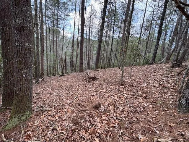 $297,000 | 0 Horseshoe Bend Road, Dahlonega, GA 30533