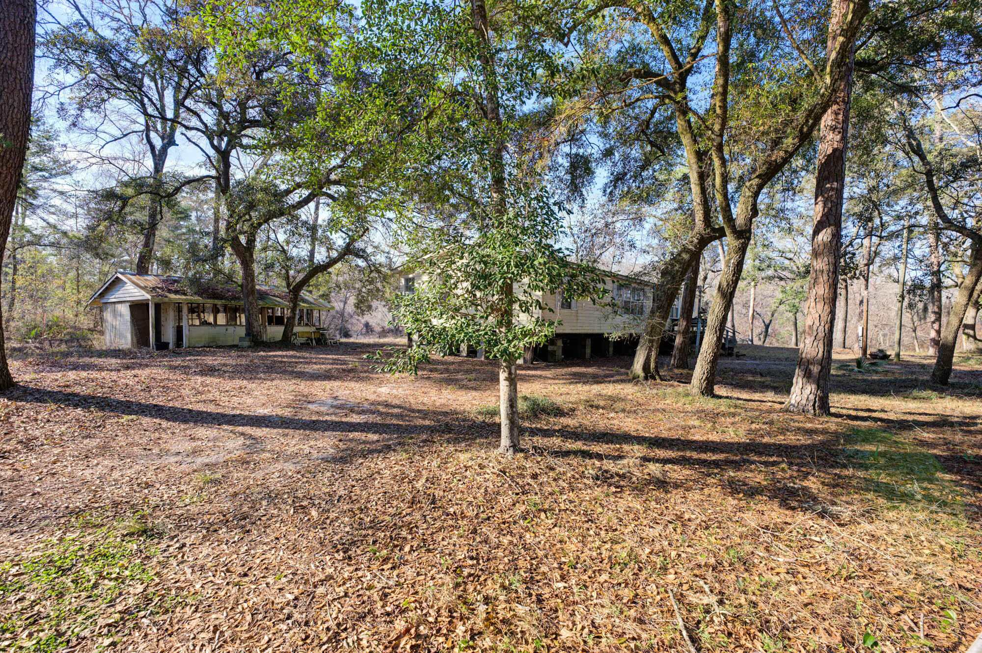8437 Parkers Ferry Road Adams Run, SC 29426 - Photo 5 of 14 8437 Parkers Ferry Rd, Adams Run SC (1)