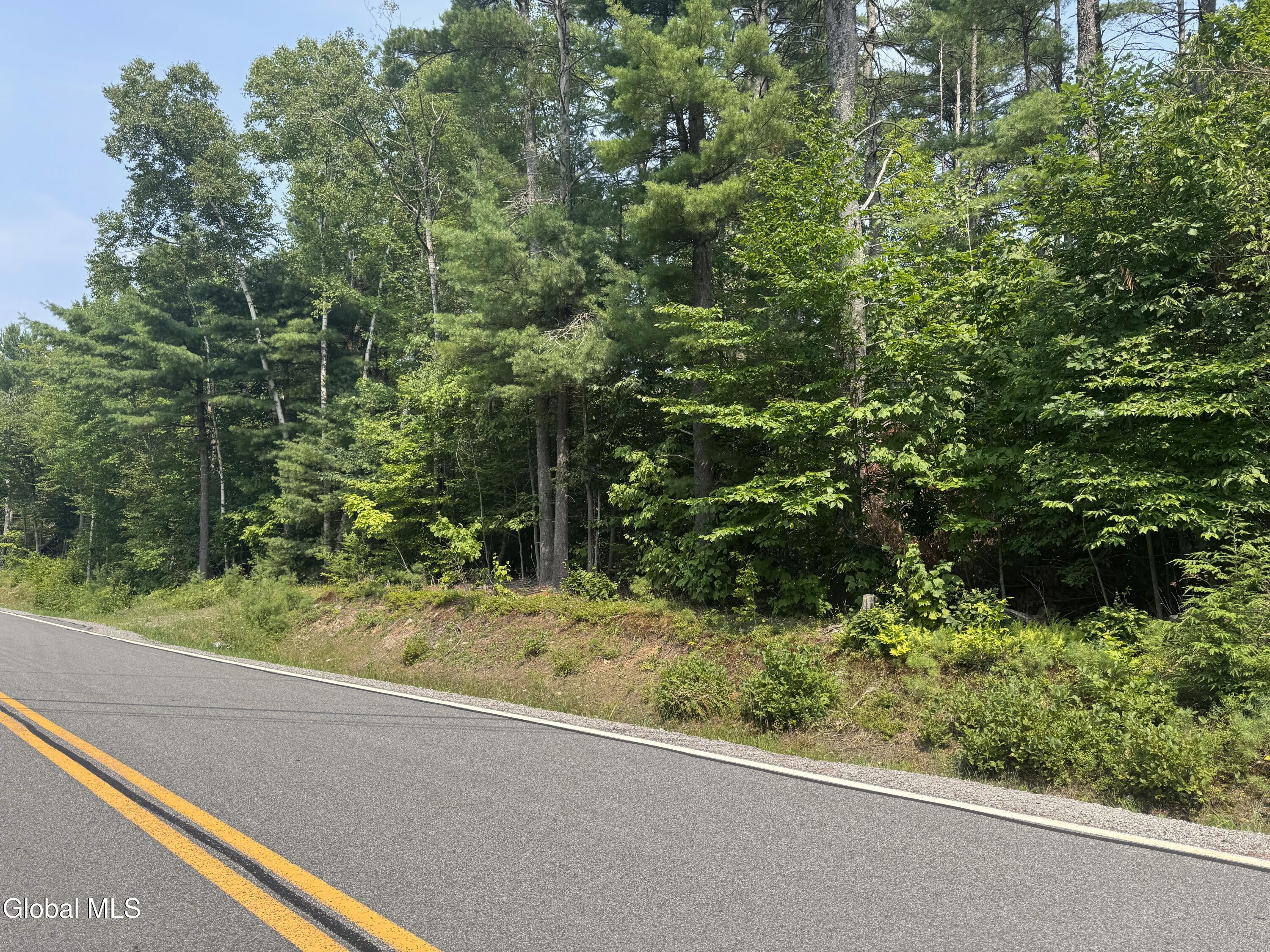 11 County Rte 11 Bolton Landing, NY 12814 - Photo 2 of 3 Parrotta road