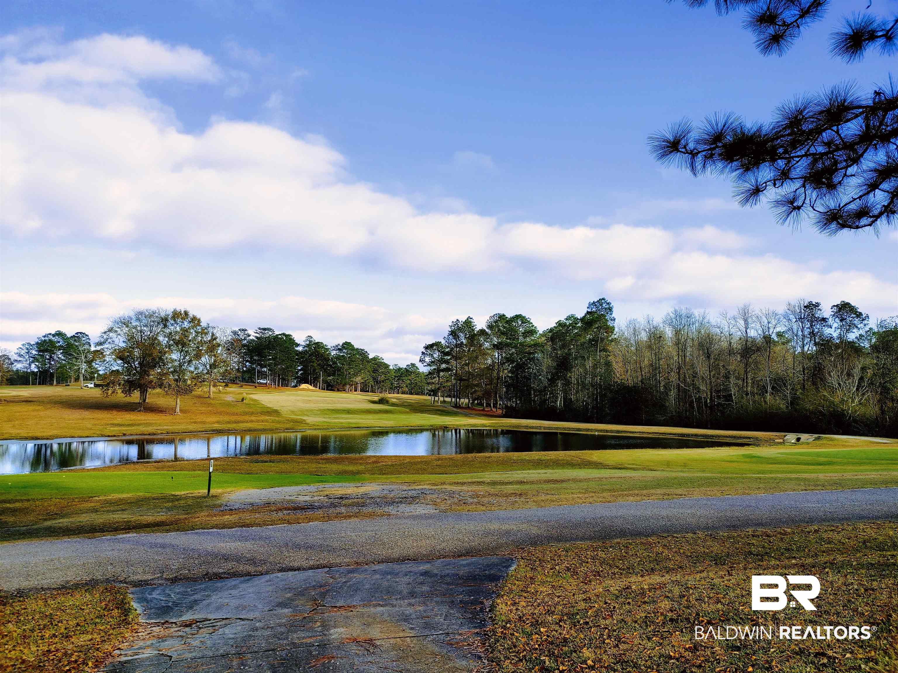 125 Whitetail Run Chatom, AL 36518 - Photo 47 of 49
