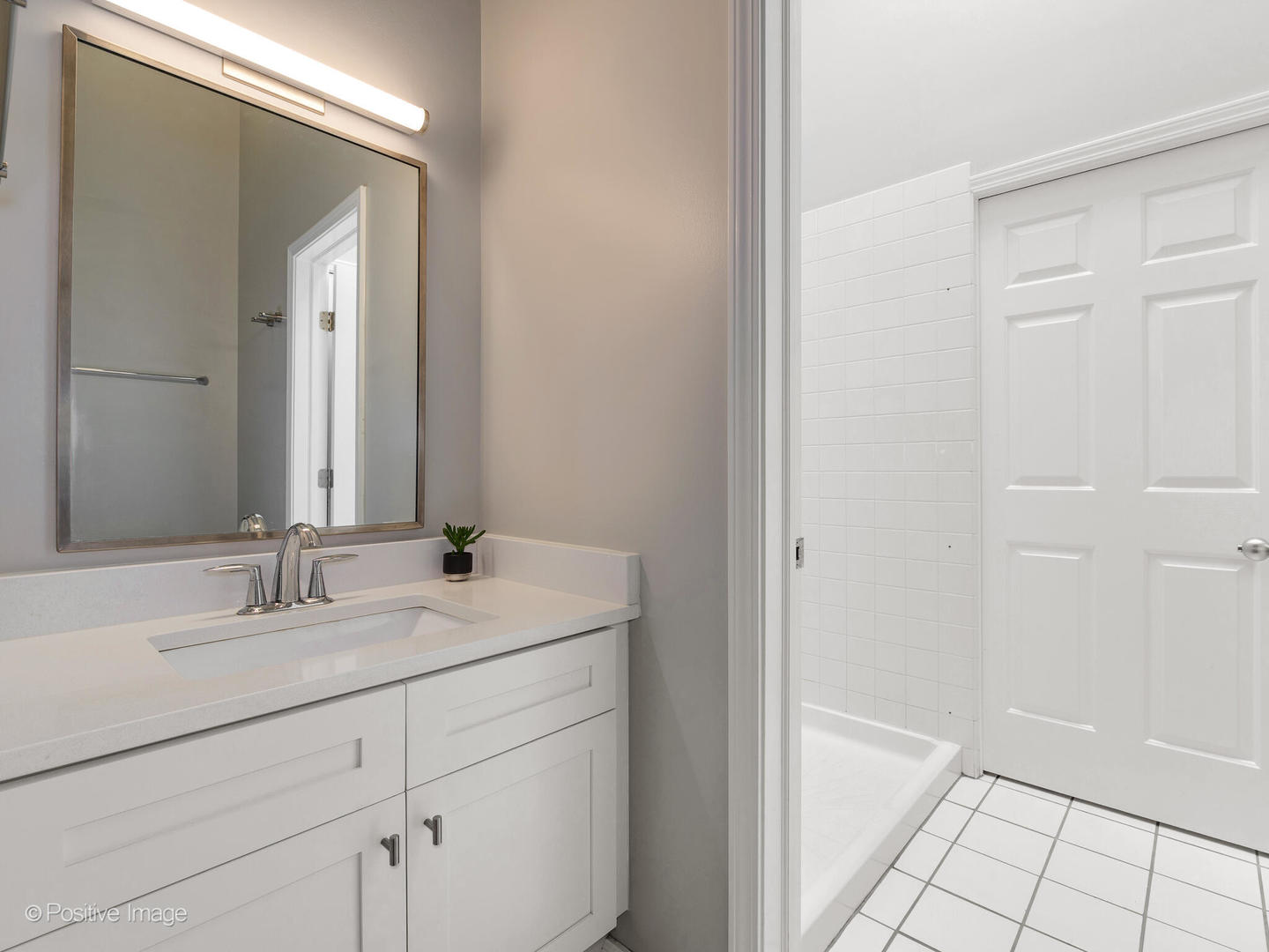 2543 North Racine Avenue, Unit 3N Chicago, IL 60614 - Photo 23 of 25 a bathroom with a sink and a mirror