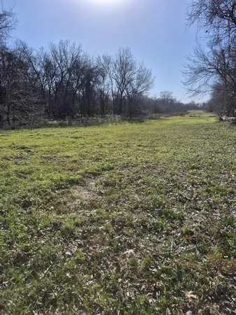 a view of a field with trees in the background