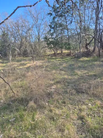 a view of dirt yard with trees