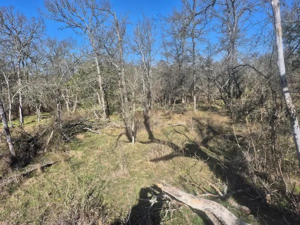 a view of a yard