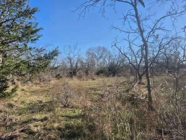 a view of a yard